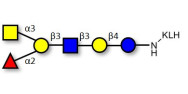 Blood group A antigen...