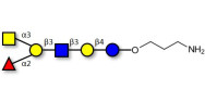 Blood group A antigen...