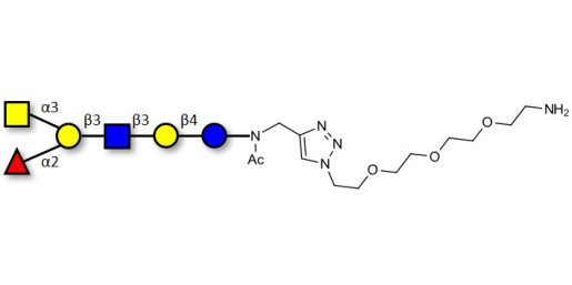 Blood group A antigen hexaose type 1 with free terminal amine (Linker-NH2 B) - GLY037-1-NAc-sp1-NH2
