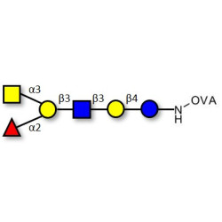 Blood group A antigen hexaose type 1 grafted on OVA