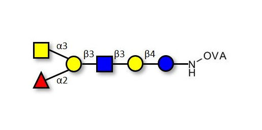 Blood group A antigen hexaose type 1 grafted on OVA