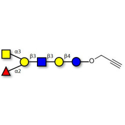 Blood group A antigen hexaose type 1 with terminal alkyne (Linker-CΞCH B)