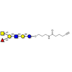 Blood group A antigen hexaose type 1 with terminal alkyne (Linker-CΞCH C)