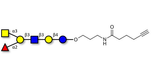 Blood group A antigen hexaose type 1 with terminal alkyne (Linker-CΞCH C)