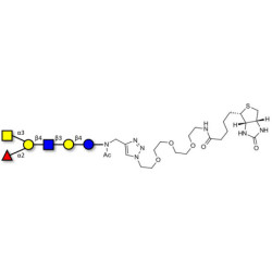 Blood group A antigen hexaose type 2 linked to biotin (Linker-BT A)