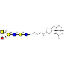 Blood group A antigen hexaose type 2 linked to biotin (Linker-BT B)