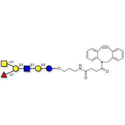 Blood group A antigen hexaose type 2 with DBCO (Linker-DBCO A)