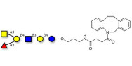 Blood group A antigen...
