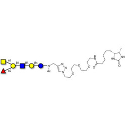 Blood group A antigen hexaose type 2 linked to desthiobiotin (Linker-DBT-A)