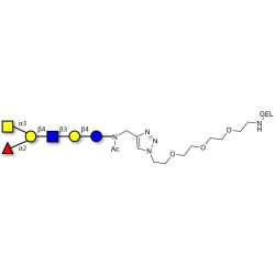 Blood group A antigen hexaose type 2 grafted on gel for affinity chromatography (Linker-GEL A)