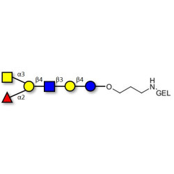 Blood group A antigen hexaose type 2 grafted on gel for affinity chromatography (Linker-GEL B)