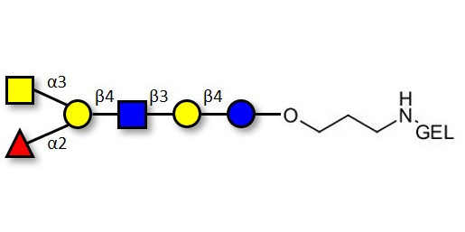 Blood group A antigen hexaose type 2 grafted on gel for affinity chromatography (Linker-GEL B)