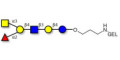 Blood group A antigen hexaose type 2 grafted on gel for affinity chromatography (Linker-GEL B)