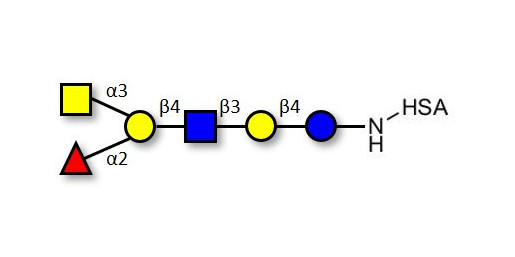 Blood group A antigen hexaose type 2 grafted on HSA