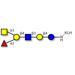 Blood group A antigen hexaose type 2 grafted on KLH