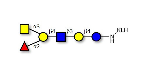 Blood group A antigen hexaose type 2 grafted on KLH