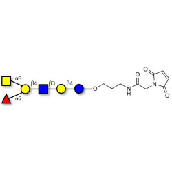 Blood group A antigen hexaose type 2 linked to maleimide (Linker-MAL A)