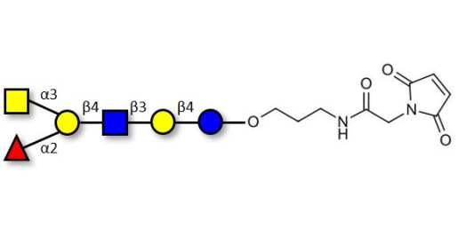 Blood group A antigen hexaose type 2 linked to maleimide (Linker-MAL A)