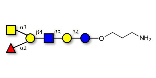 Blood group A antigen hexaose type 2 with free terminal amine (Linker-NH2 A)