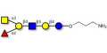 Blood group A antigen hexaose type 2 with free terminal amine (Linker-NH2 A)
