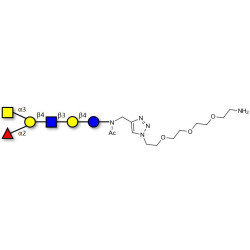 Blood group A antigen hexaose type 2 with free terminal amine (Linker-NH2 B)