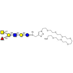 Blood group A antigen hexaose type 2 with free terminal amine (Linker-NH2 C)