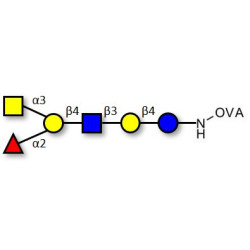 Blood group A antigen hexaose type 2 grafted on OVA