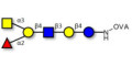 Blood group A antigen hexaose type 2 grafted on OVA