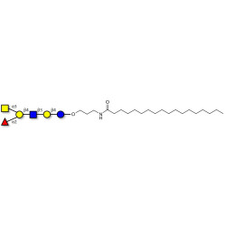 Blood group A antigen hexaose type 2 with stearic chain (Linker-STEA A)