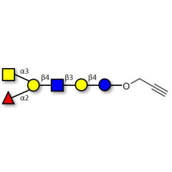 Blood group A antigen hexaose type 2 with terminal alkyne (Linker-CΞCH B)