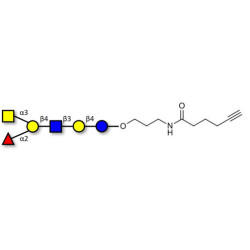 Blood group A antigen hexaose type 2 with terminal alkyne (Linker-CΞCH C)