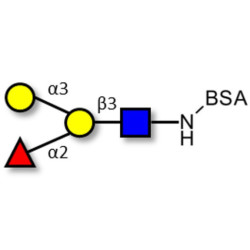 Blood group B antigen tetraose type 1 grafted on BSA