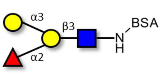 Blood group B antigen tetraose type 1 grafted on BSA