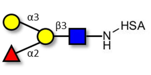 Blood group B antigen tetraose type 1 grafted on HSA