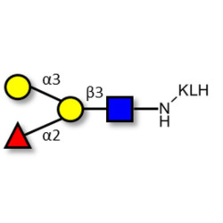 Blood group B antigen tetraose type 1 grafted on KLH