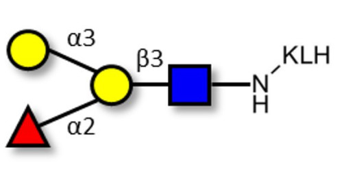 Blood group B antigen tetraose type 1 grafted on KLH