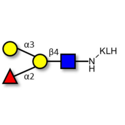Blood group B antigen tetraose type 2 grafted on KLH