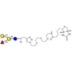 Blood group B antigen tetraose type 6 linked to biotin (Linker-BT A)
