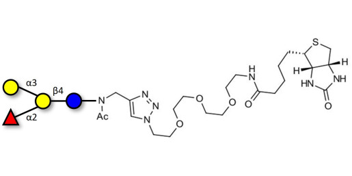 Blood group B antigen tetraose type 6 linked to biotin (Linker-BT A)