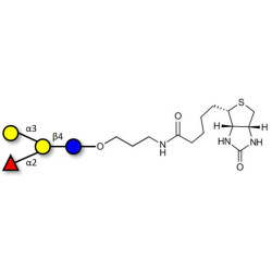 Blood group B antigen tetraose type 6 linked to biotin (Linker-BT B)