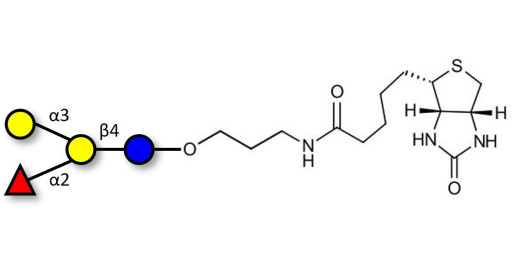 Blood group B antigen tetraose type 6 linked to biotin (Linker-BT B)