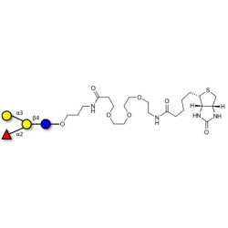Blood group B antigen tetraose type 6 linked to biotin (Linker-BT C)