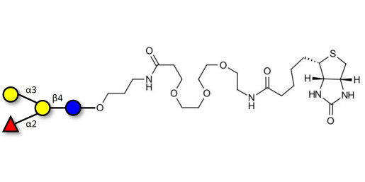 Blood group B antigen tetraose type 6 linked to biotin (Linker-BT C)