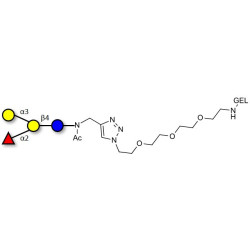 Blood group B antigen tetraose type 6 grafted on gel for affinity chromatography (Linker-GEL A)