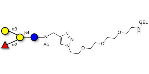 Blood group B antigen tetraose type 6 grafted on gel for affinity chromatography (Linker-GEL A)