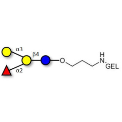 Blood group B antigen tetraose type 6 grafted on gel for affinity chromatography (Linker-GEL B)