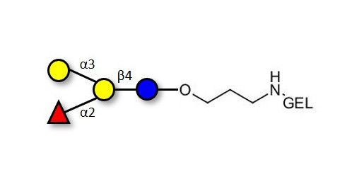 Blood group B antigen tetraose type 6 grafted on gel for affinity chromatography (Linker-GEL B)