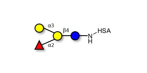 Blood group B antigen tetraose type 6 grafted on HSA