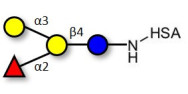 Blood group B antigen...