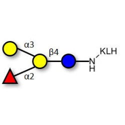 Blood group B antigen tetraose type 6 grafted on KLH